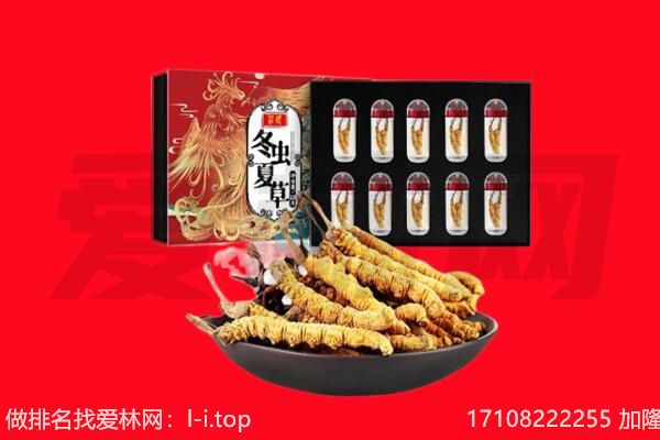 遵化市回收虫草.jpg